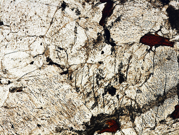 Augen Gneiss 5