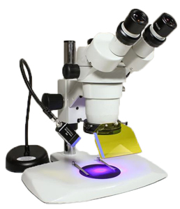 NIGHTSEA™ Stereo Microscope Ultraviolet Fluorescence Adapter