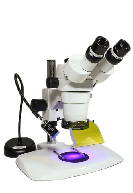 NIGHTSEA™ Stereo Microscope Fluorescence Adapter